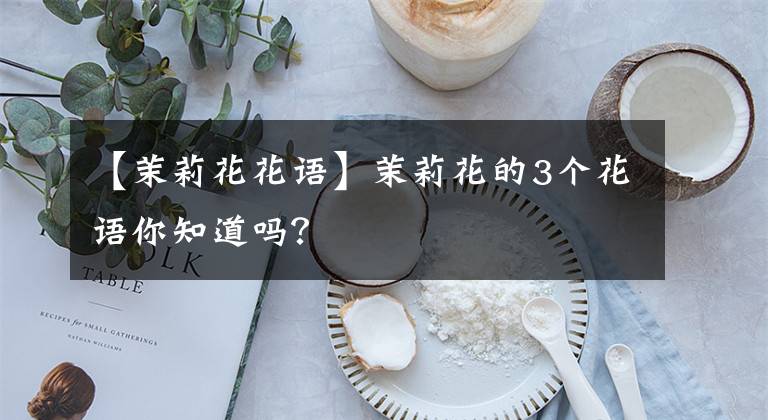 【茉莉花花语】茉莉花的3个花语你知道吗?