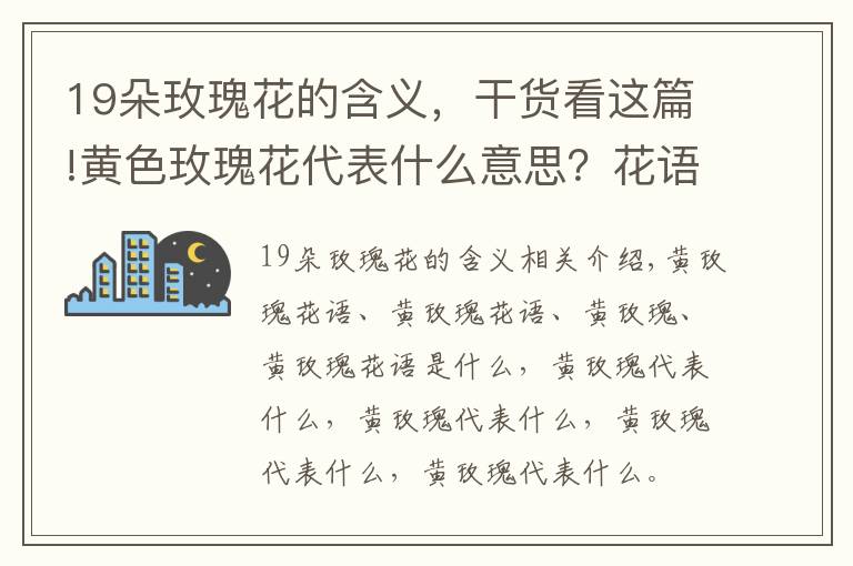 19朵玫瑰花的含义,干货看这篇!黄色玫瑰花代表什么意思?花语是什么?