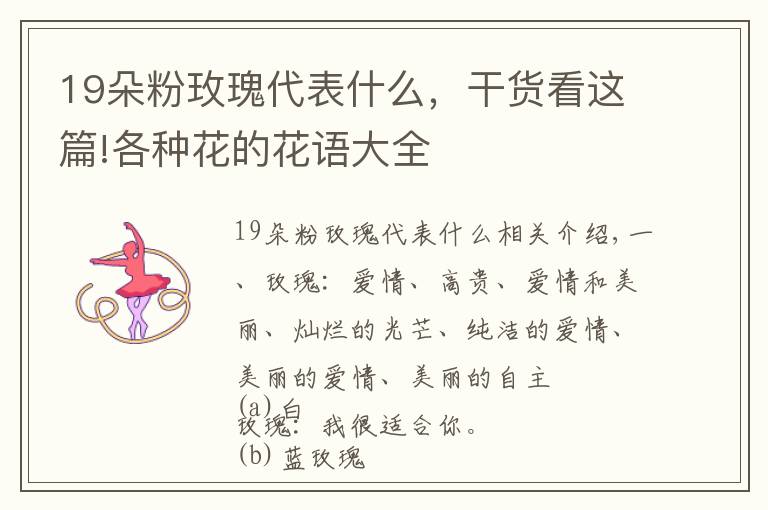 19朵粉玫瑰代表什么,干货看这篇!各种花的花语大全