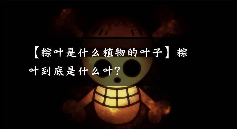 【粽叶是什么植物的叶子】粽叶到底是什么叶?