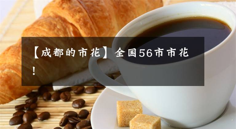 【成都的市花】全国56市市花!