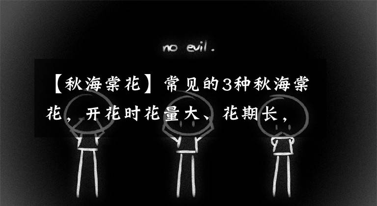 【秋海棠花】常见的3种秋海棠花,开花时花量大、花期长,在家里养一盆,好看