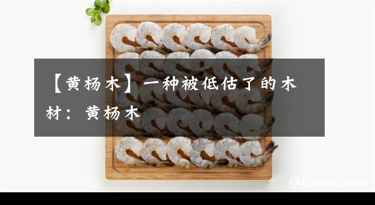 【黄杨木】一种被低估了的木材：黄杨木