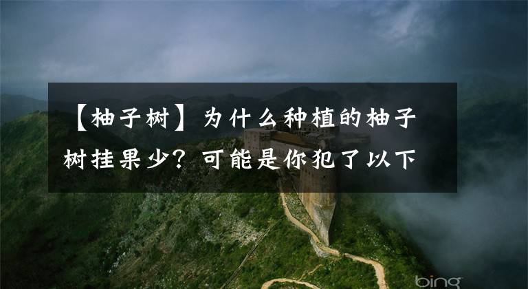【柚子树】为什么种植的柚子树挂果少?可能是你犯了以下这个错误的管理方法
