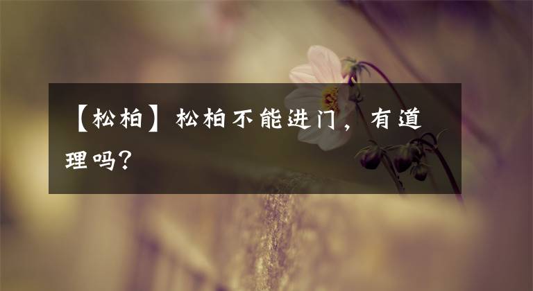 【松柏】松柏不能进门,有道理吗?