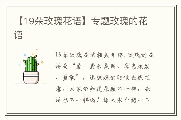 【19朵玫瑰花语】专题玫瑰的花语