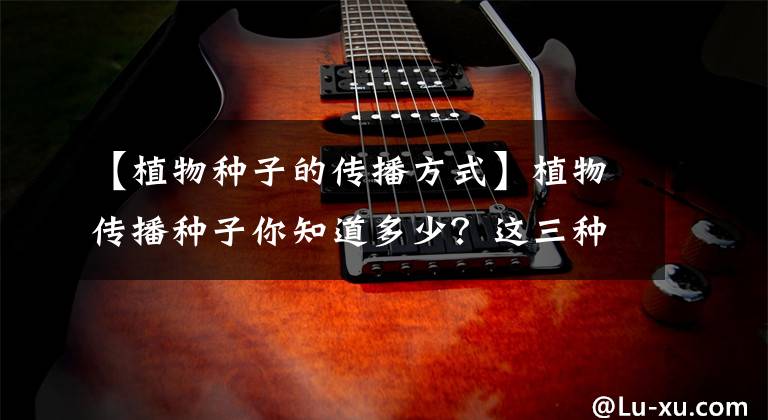 【植物种子的传播方式】植物传播种子你知道多少？这三种方式很神奇，赶紧收藏