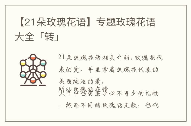 【21朵玫瑰花语】专题玫瑰花语大全「转」