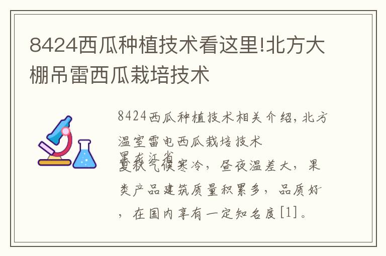 8424西瓜种植技术看这里!北方大棚吊雷西瓜栽培技术