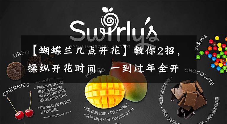 【蝴蝶兰几点开花】教你2招,操纵开花时间,一到过年全开花!