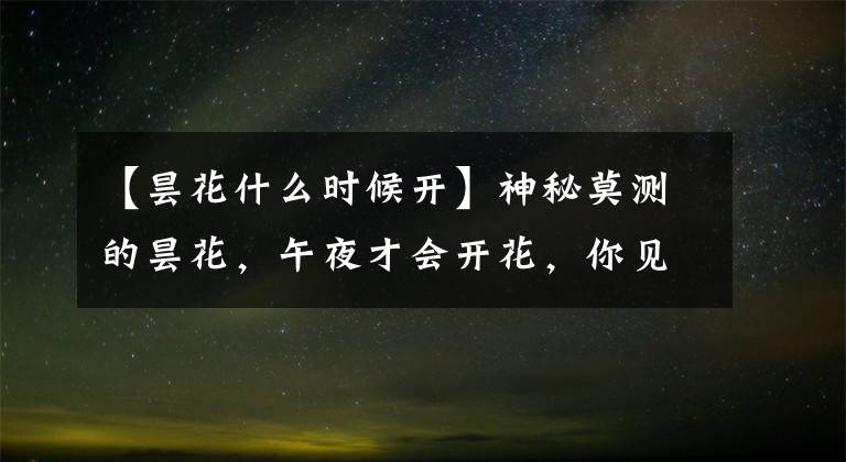 【昙花什么时候开】神秘莫测的昙花,午夜才会开花,你见过吗