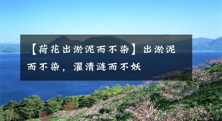 【荷花出淤泥而不染】出淤泥而不染,濯清涟而不妖