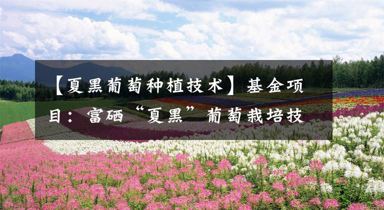 【夏黑葡萄种植技术】基金项目:富硒“夏黑”葡萄栽培技术规定