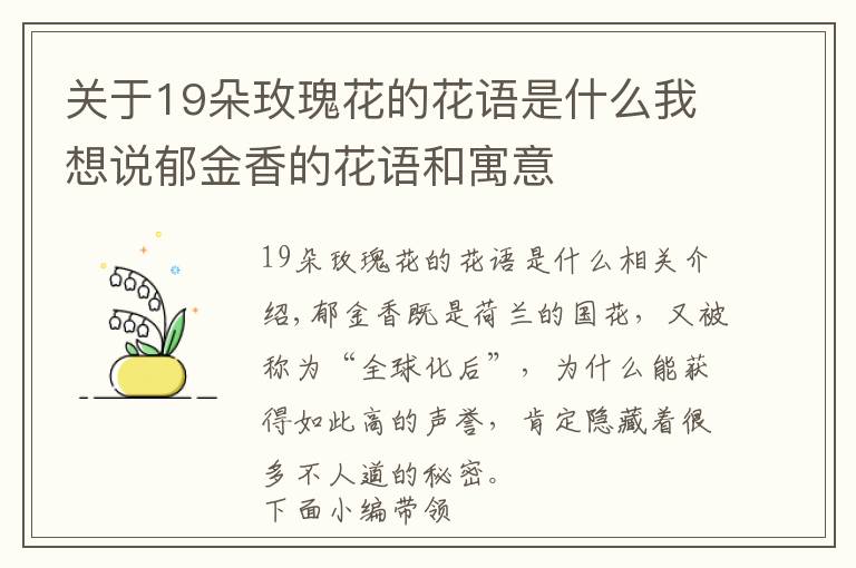 关于19朵玫瑰花的花语是什么我想说郁金香的花语和寓意
