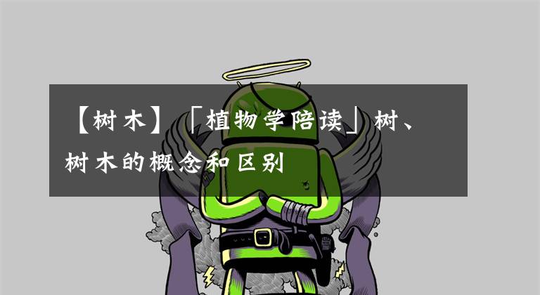 【树木】「植物学陪读」树、树木的概念和区别