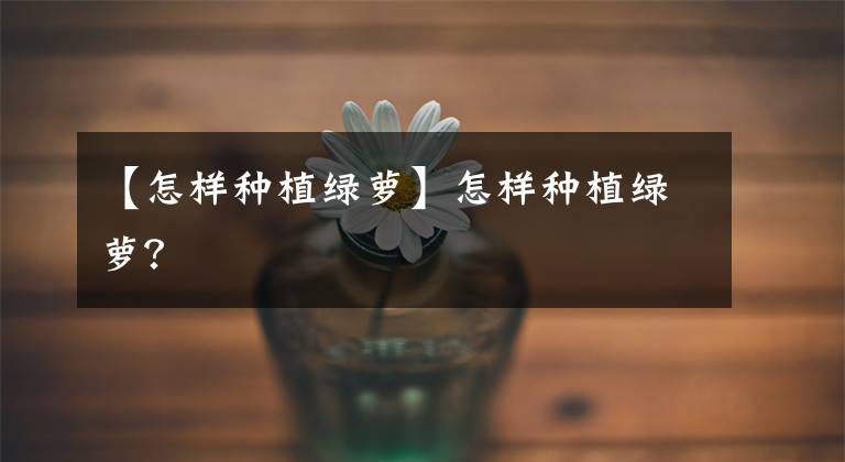 【怎样种植绿萝】怎样种植绿萝?
