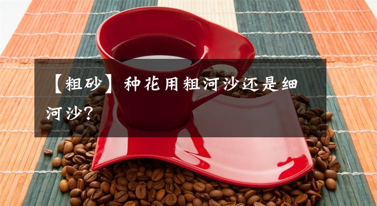 【粗砂】种花用粗河沙还是细河沙?