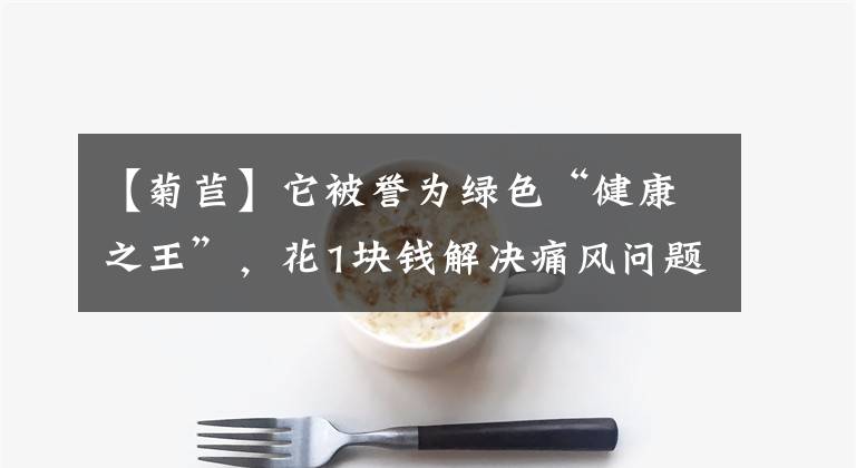 【菊苣】它被誉为绿色“健康之王”，花1块钱解决痛风问题