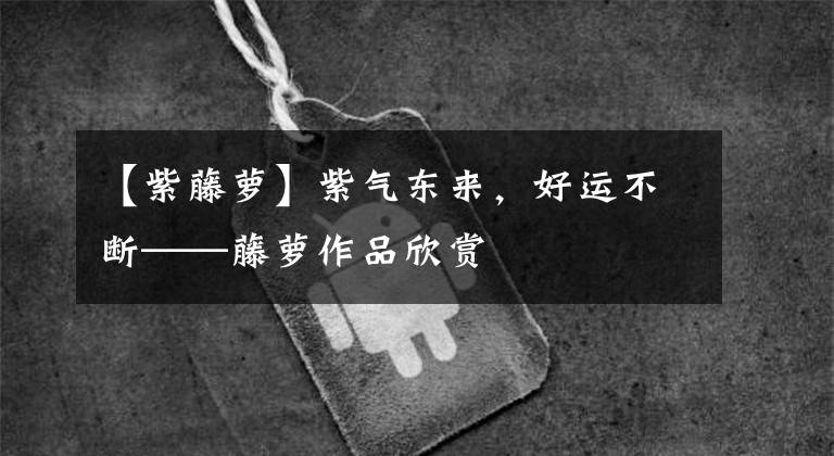 【紫藤萝】紫气东来，好运不断——藤萝作品欣赏