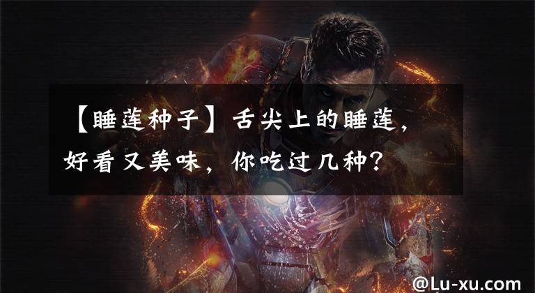 【睡莲种子】舌尖上的睡莲,好看又美味,你吃过几种?