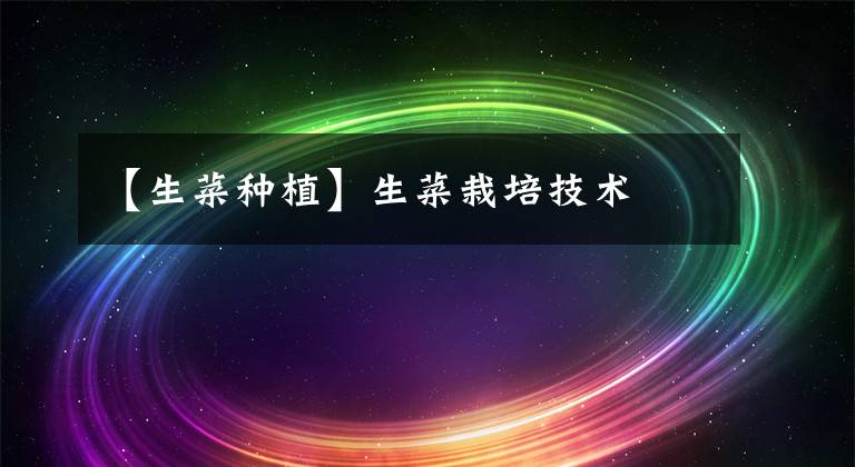 【生菜种植】生菜栽培技术