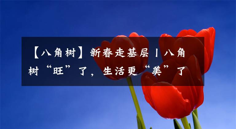 【八角树】新春走基层丨八角树“旺”了,生活更“美”了