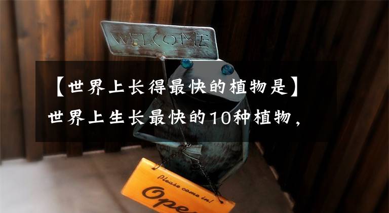 【世界上长得最快的植物是】世界上生长最快的10种植物，最后一种在我国南方泛滥成灾