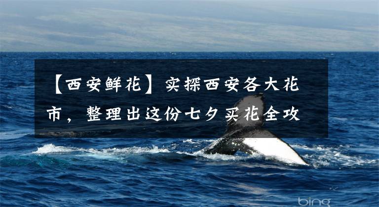 【西安鲜花】实探西安各大花市,整理出这份七夕买花全攻略!看完能省好几百