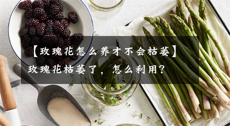 【玫瑰花怎么养才不会枯萎】玫瑰花枯萎了,怎么利用?