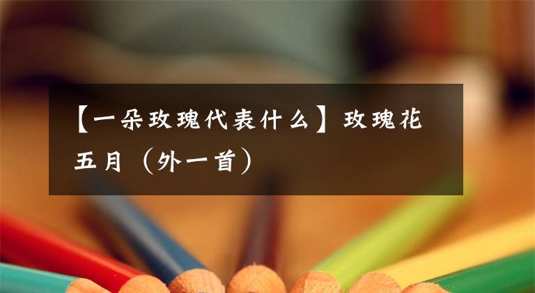 【一朵玫瑰代表什么】玫瑰花 五月(外一首)