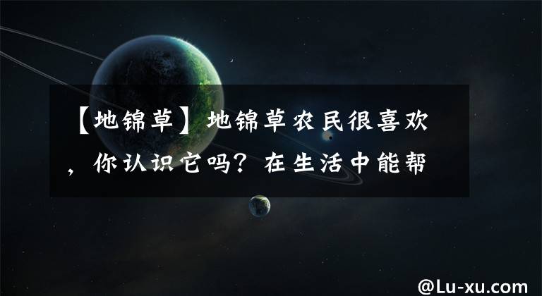 【地锦草】地锦草农民很喜欢,你认识它吗?在生活中能帮助你