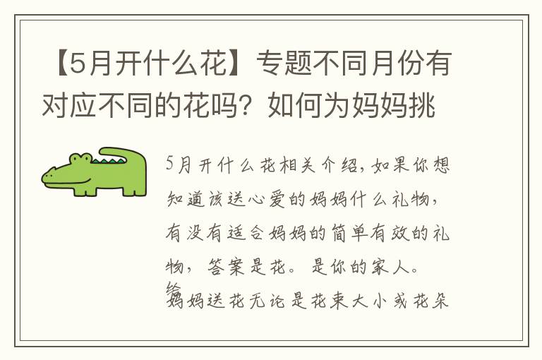 【5月开什么花】专题不同月份有对应不同的花吗?如何为妈妈挑选出生月份的花?