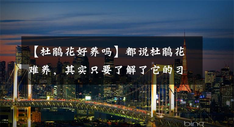 【杜鹃花好养吗】都说杜鹃花难养，其实只要了解了它的习性和掌握这几点，轻松好养