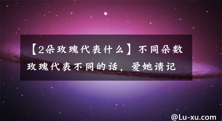 【2朵玫瑰代表什么】不同朵数玫瑰代表不同的话,爱她请记住