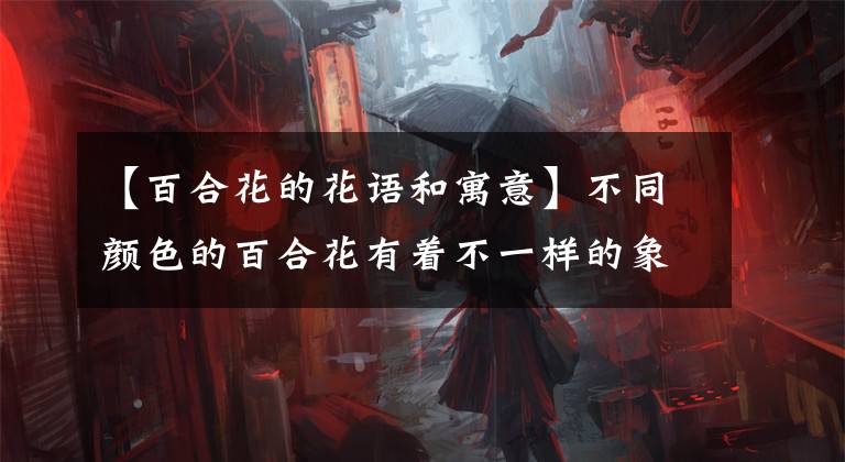 【百合花的花语和寓意】不同颜色的百合花有着不一样的象征花语,花美寓意更美