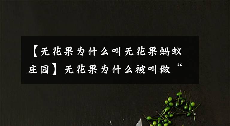 【无花果为什么叫无花果蚂蚁庄园】无花果为什么被叫做“无花果”? 最新蚂蚁森林小课堂4月19日答案
