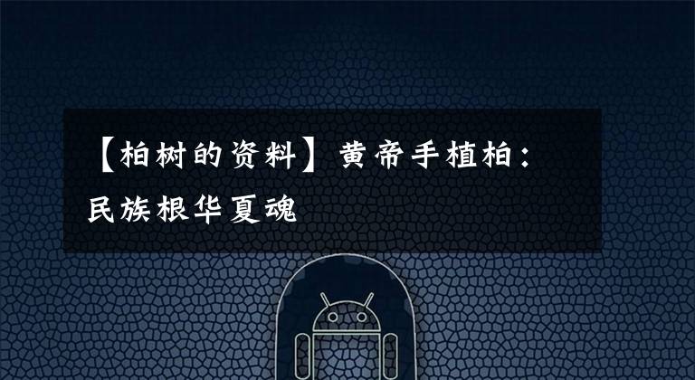 【柏树的资料】黄帝手植柏:民族根华夏魂