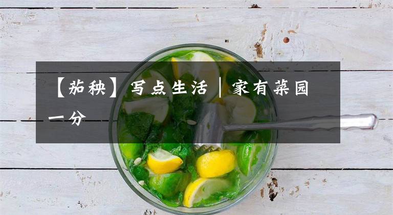 【茄秧】写点生活|家有菜园一分