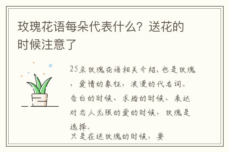 玫瑰花语每朵代表什么？送花的时候注意了