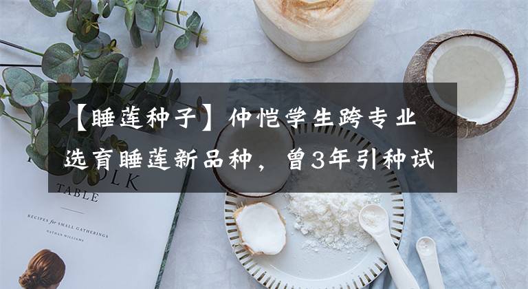 【睡莲种子】仲恺学生跨专业选育睡莲新品种,曾3年引种试验上百次