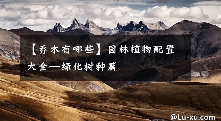【乔木有哪些】园林植物配置大全—绿化树种篇