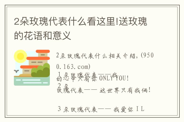 2朵玫瑰代表什么看这里!送玫瑰的花语和意义
