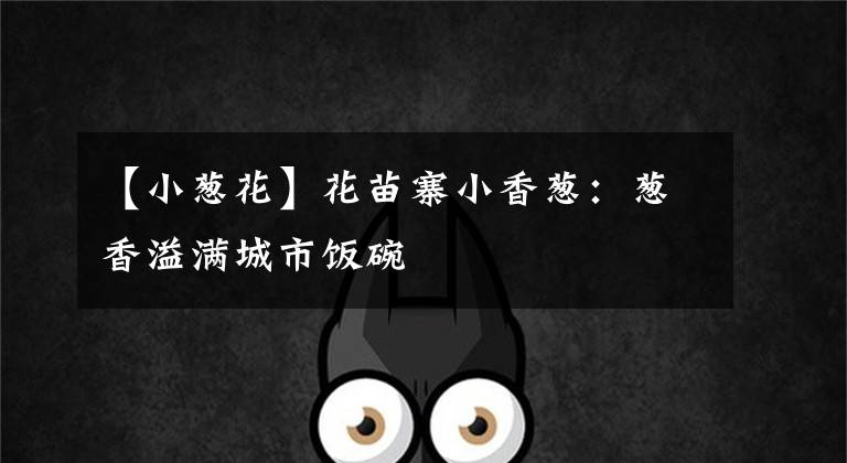 【小葱花】花苗寨小香葱:葱香溢满城市饭碗