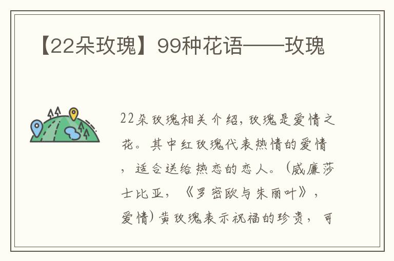 【22朵玫瑰】99种花语——玫瑰