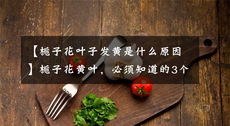 【栀子花叶子发黄是什么原因】栀子花黄叶,必须知道的3个原因,对症下药,才是最好的解决办法