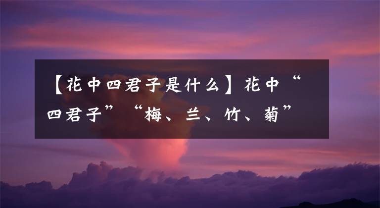 【花中四君子是什么】花中“四君子”“梅、兰、竹、菊”,都代表了什么样的性格?