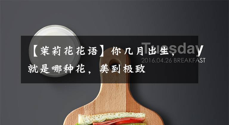 【茉莉花花语】你几月出生,就是哪种花,美到极致