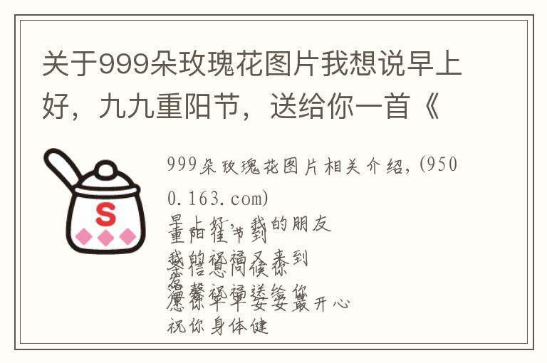关于999朵玫瑰花图片我想说早上好,九九重阳节,送给你一首《999朵玫瑰花》,愿您幸福长久