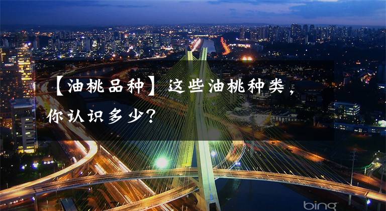 【油桃品种】这些油桃种类,你认识多少?