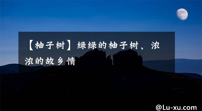 【柚子树】绿绿的柚子树,浓浓的故乡情